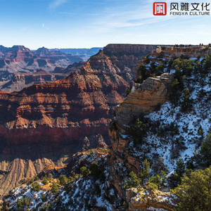 黑哥大鸡巴视频
